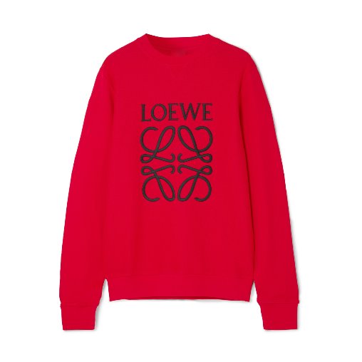 Embroidered cotton terry sweatshirt